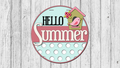 Hello Summer Birdhouse Door Hanger Sign - Finished