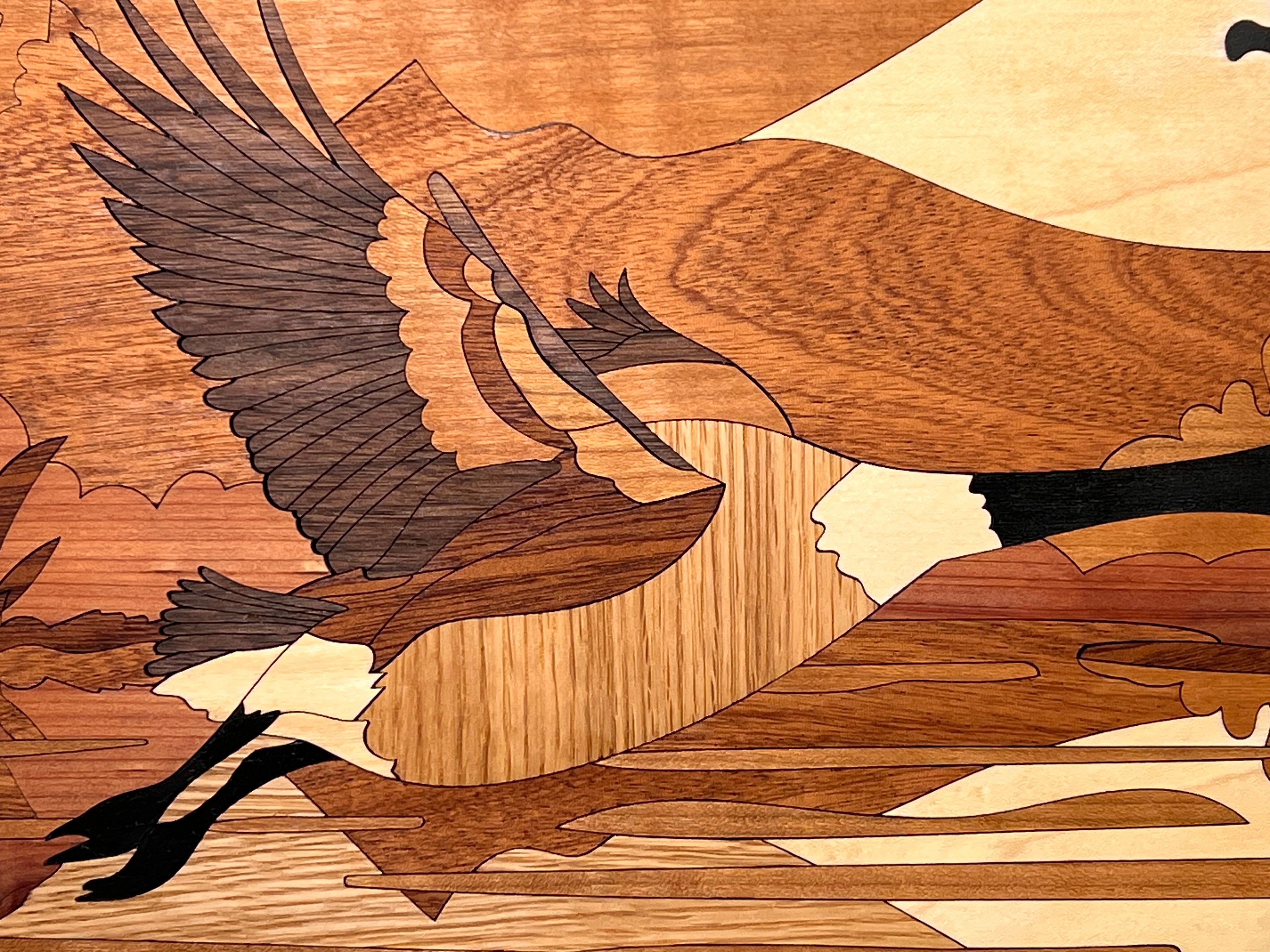 Mini Canadian Goose Showstopper