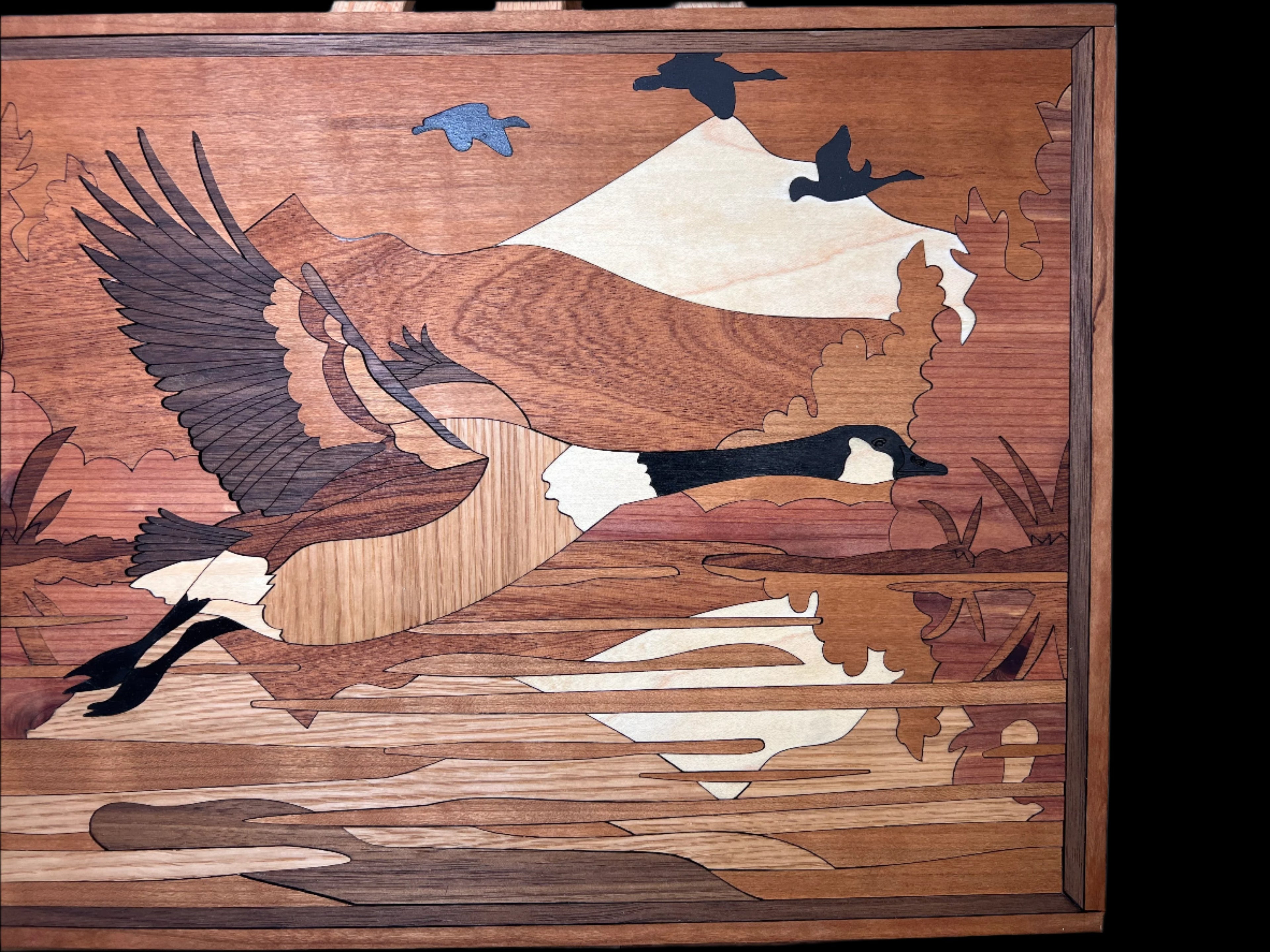 Mini Canadian Goose Showstopper