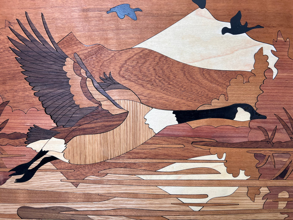 Mini Canadian Goose Showstopper