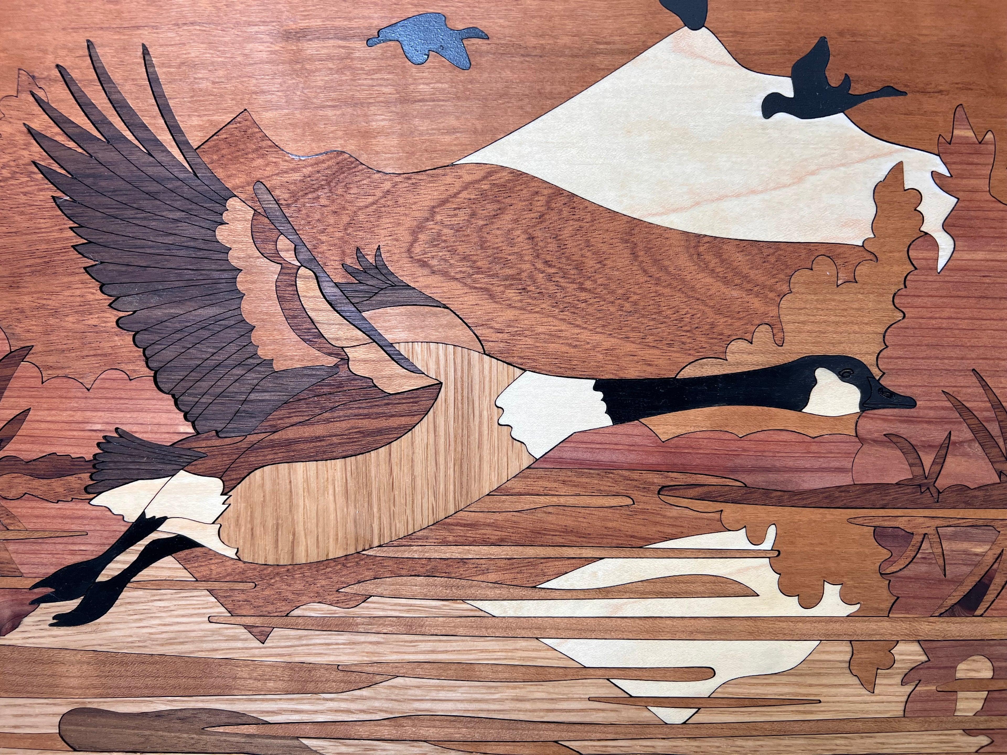 Mini Canadian Goose Showstopper